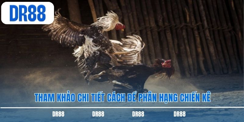 Tham khảo chi tiết cách để phân hạng chiến kê