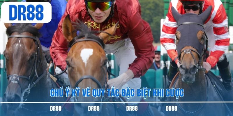 Chú ý kỹ về quy tắc đặc biệt khi cược