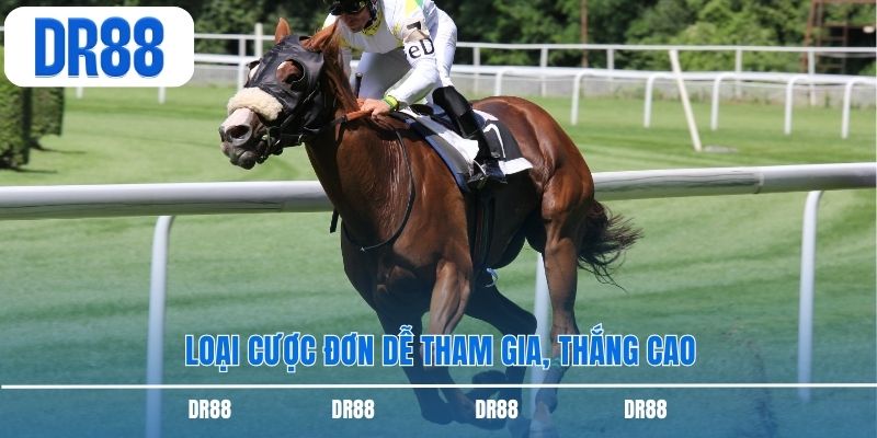 Loại cược đơn dễ tham gia, thắng cao
