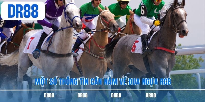 Một số thông tin cần nắm về đua ngựa RCB
