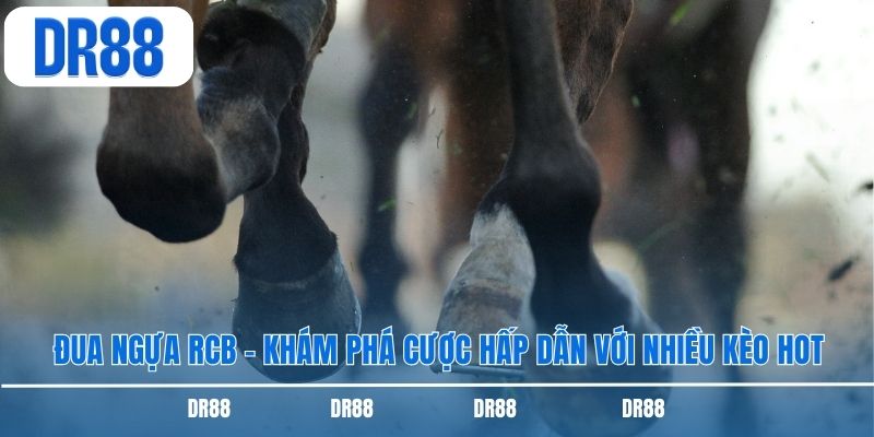 Đua Ngựa RCB – Khám Phá Cược Hấp Dẫn Với Nhiều Kèo Hot